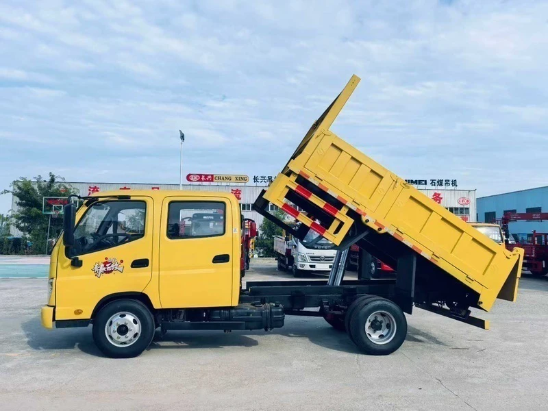 Foton Blue Plate Double Cab Dump Truck 03 Foton Blue Plate Double Cab Dump Truck 03