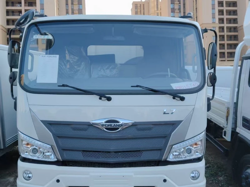 Foton 4×2 Dump Truck 02 Foton 4×2 Dump Truck 02