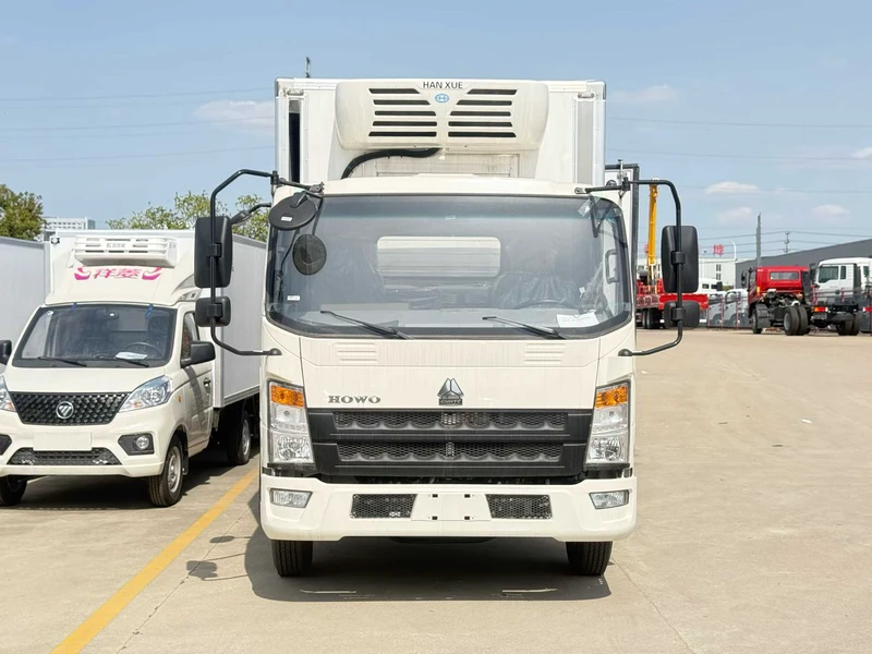 HOWO Chick Transport Vehicle