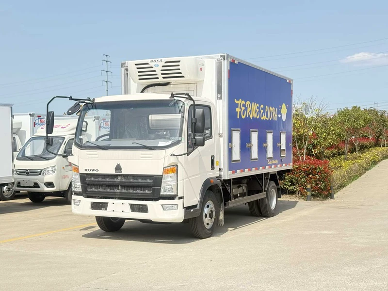 HOWO Chick Transport Vehicle