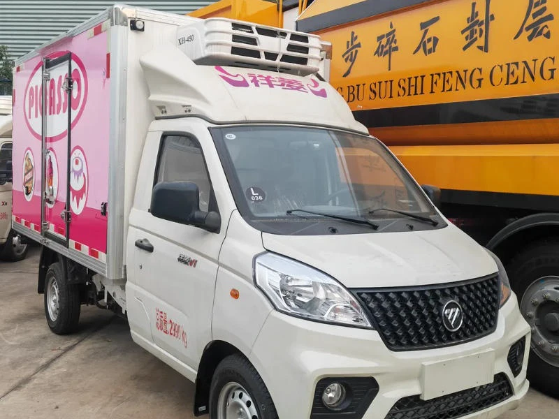 Foton Light Duty Refrigerated Truck Frozen Food Mini Truck