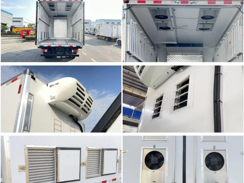 FOTON Aumark Day-Old Chick Transport Truck 09