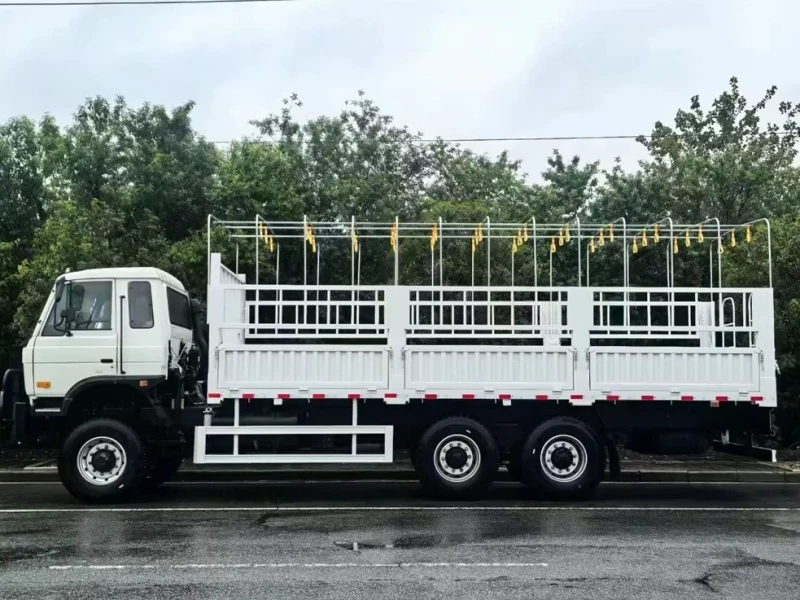 DFAC 6×6 Cargo Truck 04 DFAC 6×6 Cargo Truck 04